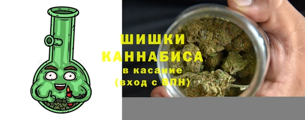 стафф Няндома