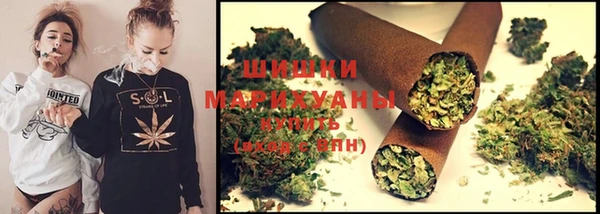 стафф Няндома