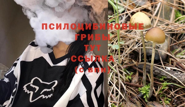 PSILOCYBIN Володарск